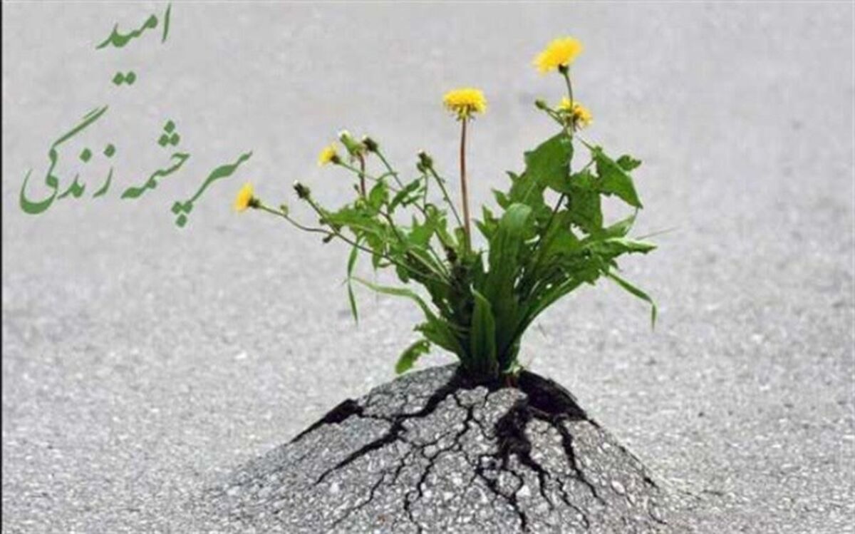امیدهمراه با تلاش و توکل به خداوند در زندگی، پلی به سوی موفقیت است