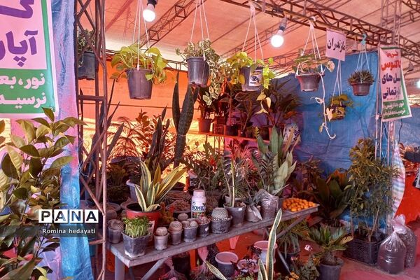 نمایشگاه صنایع دستی در شهر نور