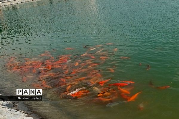 پل طبیعت، جاذبه گردشگری تهران