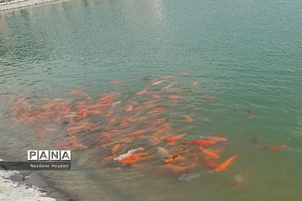 پل طبیعت، جاذبه گردشگری تهران