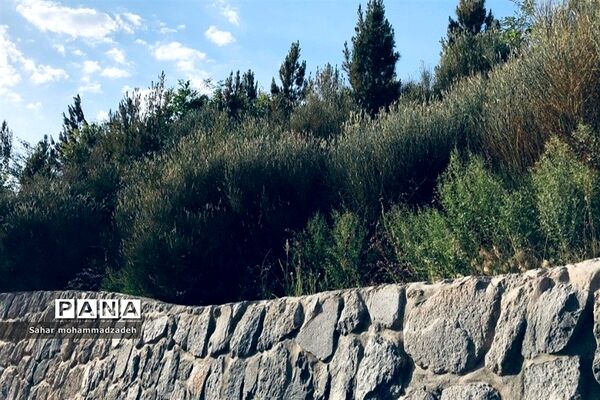 سد اَمَّند، سد خاکی در شمال غربی شهر تبریز