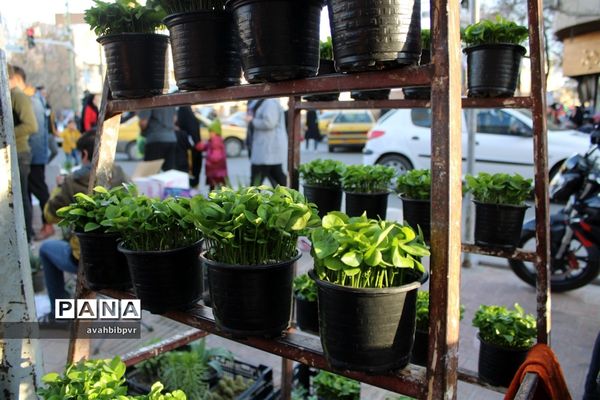 نوروز در قزوین