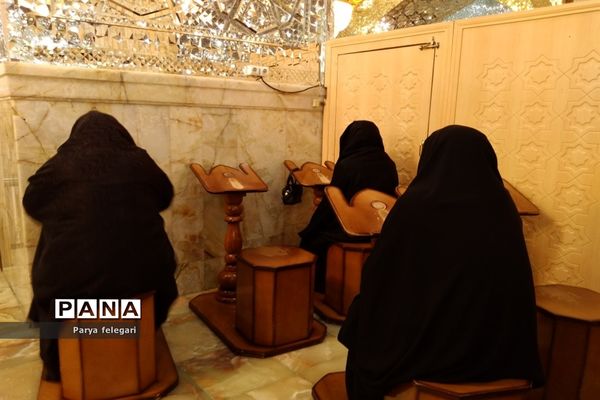 حال و هوای حرم مطهر حضرت معصومه (س)