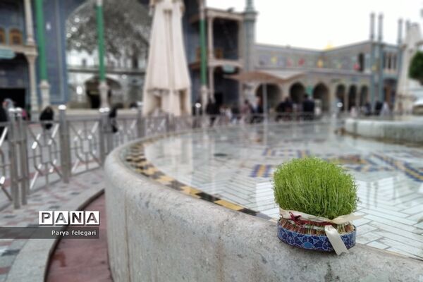 حال و هوای حرم مطهر حضرت معصومه (س)