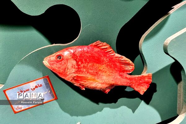 اقیانوسی 3 هزار متری در پایتخت