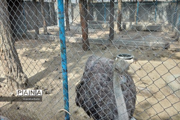 باغ پرندگان در تربت حیدریه