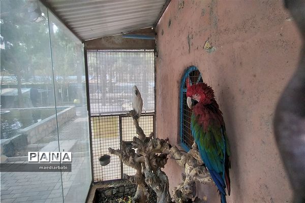 باغ پرندگان در تربت حیدریه