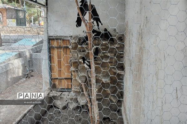 باغ پرندگان در تربت حیدریه