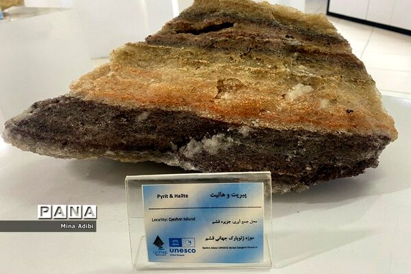 موزه ژئوپارک جهانی یونسکو و قلعه تاریخی پرتغالی‌ها در جزیره قشم