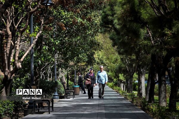 تهران1402