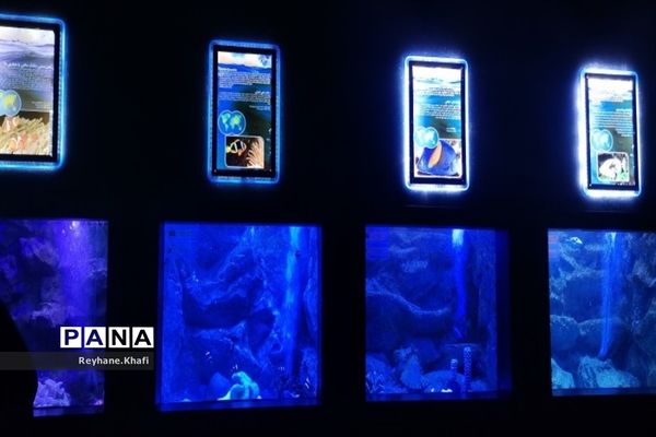 سفری به اقیانوس‌ها در آکواریوم اصفهان