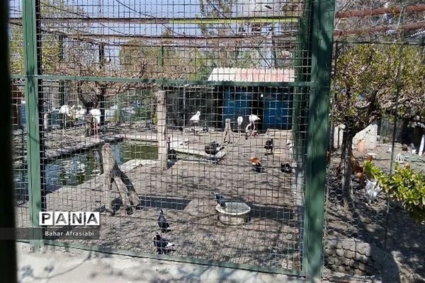 باغ وحش پارک جنگلی و کوهستانی وکیل آباد در استان خراسان رضوی