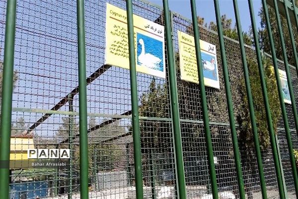 باغ وحش پارک جنگلی و کوهستانی وکیل آباد در استان خراسان رضوی