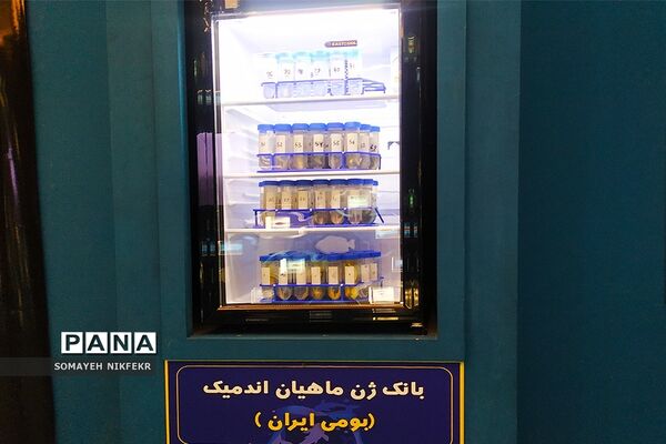 اقیانوس پارک  تهران سفری جذاب به اعماق اقیانوس