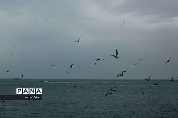 گردشگران نوروزی در ساحل بندر بوشهر