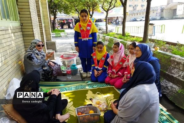 طرح جهادگران تکریم در شهرستان آمل  