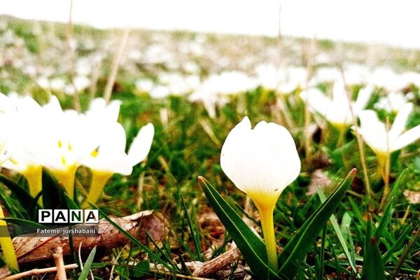 روستای خراسانک یکی از جاذبه‌های گردشگری استان آذربایجان شرقی