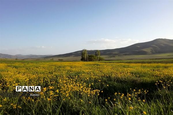 جاذبه های دیدنی شهرستان فریدن