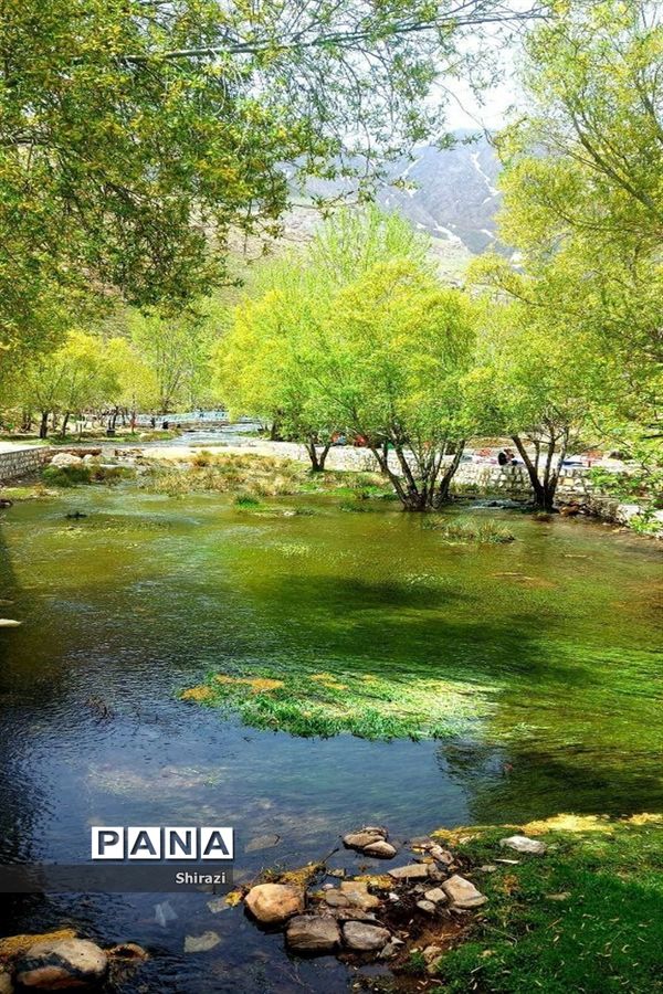 چشمه ماری جاذبه‌ای دیدنی  در شهرستان بویین و میاندشت