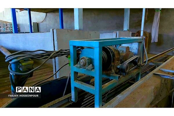 بازدید علمی از کارخانه برنج در شمال ایران