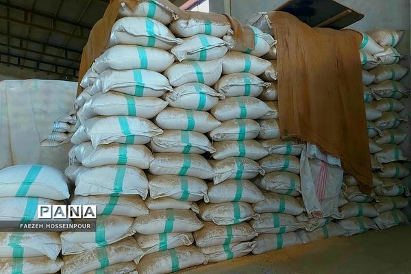 بازدید علمی از کارخانه برنج در شمال ایران