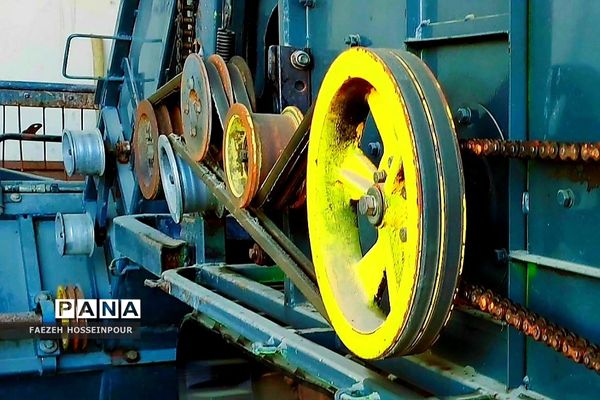 بازدید علمی از کارخانه برنج در شمال ایران