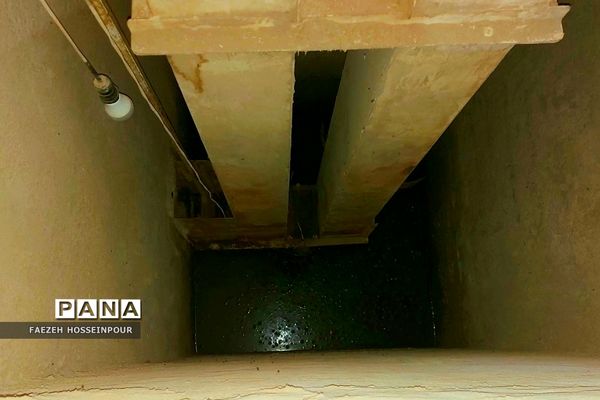 بازدید علمی از کارخانه برنج در شمال ایران