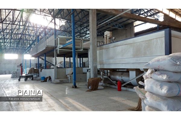 بازدید علمی از کارخانه برنج در شمال ایران