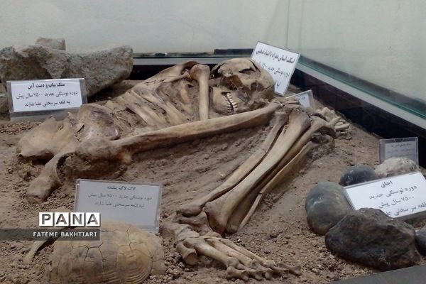 موزه چهار فصل اراک