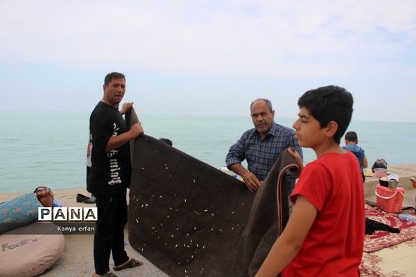 گردشگران نوروزی در ساحل بندر بوشهر