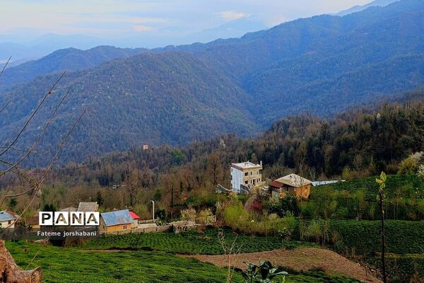 روستای بالابند، روستای سرسبز استان مازندران