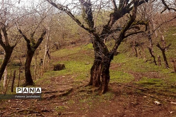 روستای بالابند، روستای سرسبز استان مازندران