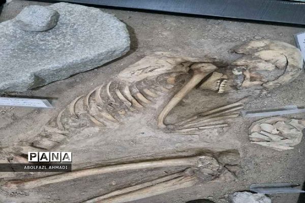 حمام تاریخی و موزه چهارفصل اراک