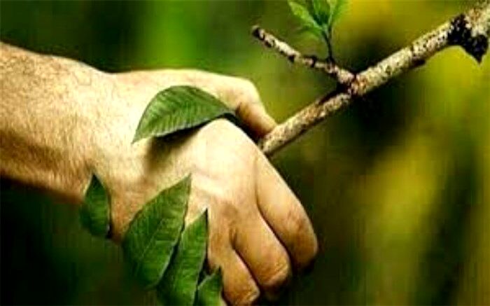 محیط زیست نعمت بی‌کران خداوندی
