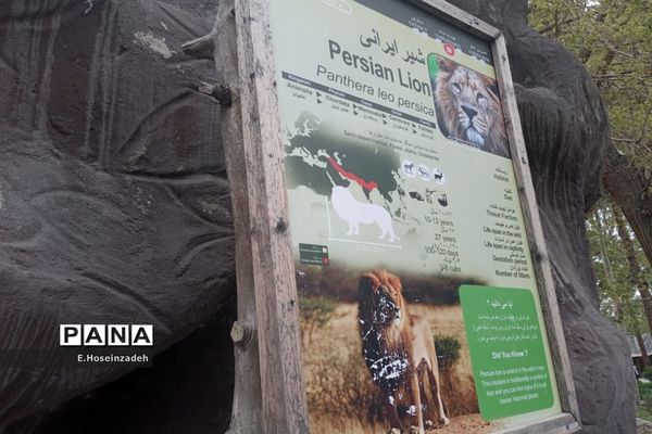 باغ وحش پارک ارم با ۱۱۰ گونه جانوری