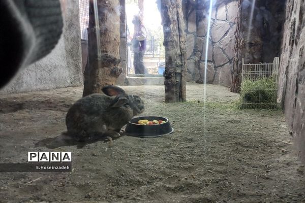 باغ وحش پارک ارم با ۱۱۰ گونه جانوری