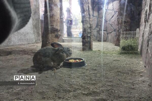 باغ وحش پارک ارم با ۱۱۰ گونه جانوری