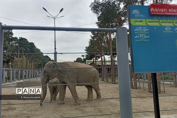 باغ وحش پارک ارم با ۱۱۰ گونه جانوری