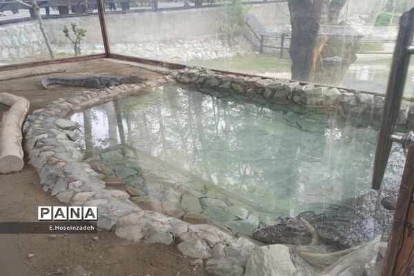باغ وحش پارک ارم با ۱۱۰ گونه جانوری