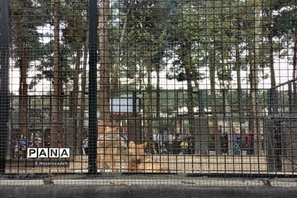 باغ وحش پارک ارم با ۱۱۰ گونه جانوری