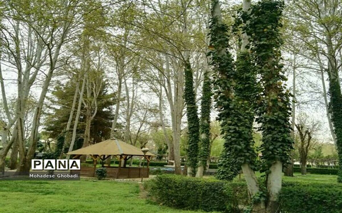 مراقبت از محیط زیست برای بقای جامعه، امری ضروری است