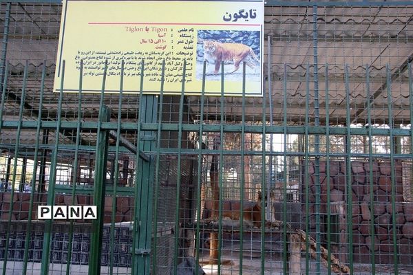 باغ وحش وکیل‌آباد مشهد