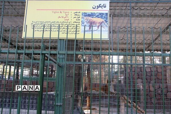 باغ وحش وکیل‌آباد مشهد