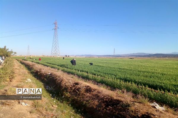 آستان مقدس امام‌زاده «علی رضی الدین» در قم