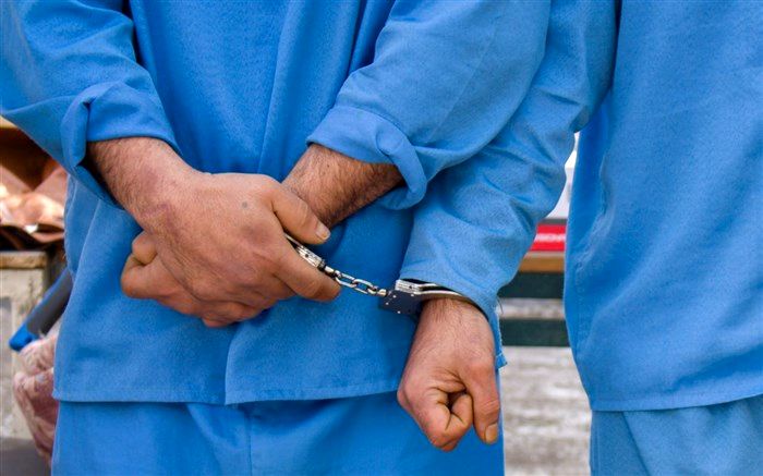 دستگیری سارقان حرفه‌ای در تبریز