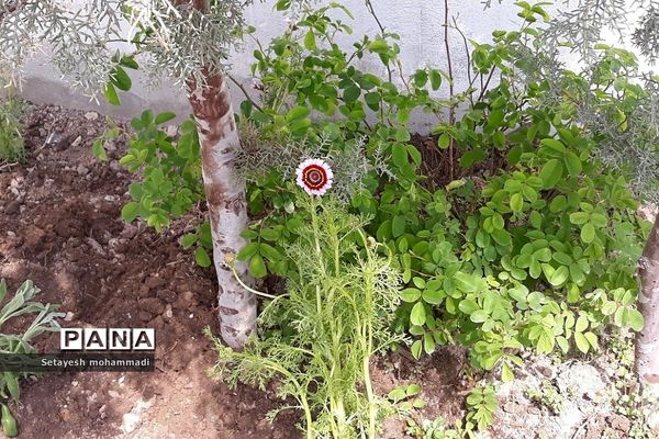 گلکاری حیاط مدرسه حضرت زهرا(س)۲ رودهن توسط دانش‌آموزان