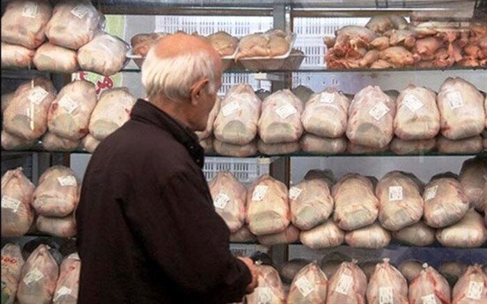 کاهش قیمت مرغ در روزهای آینده