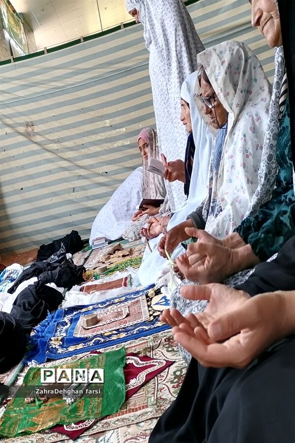 پشت پر چین بهشت