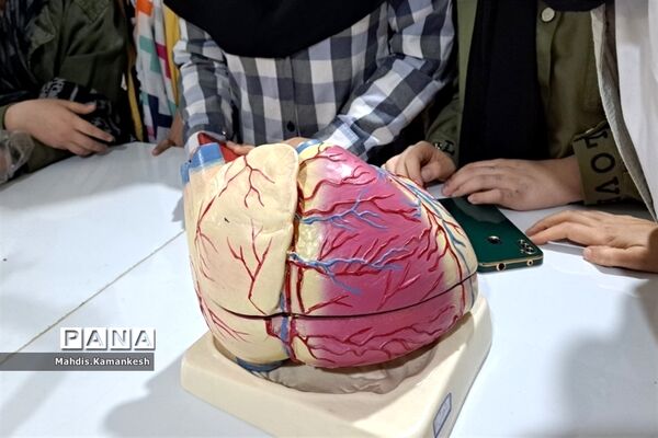 کارگاه تشریح قلب در پژوهشسرای دخترانه خوارزمی پاکدشت