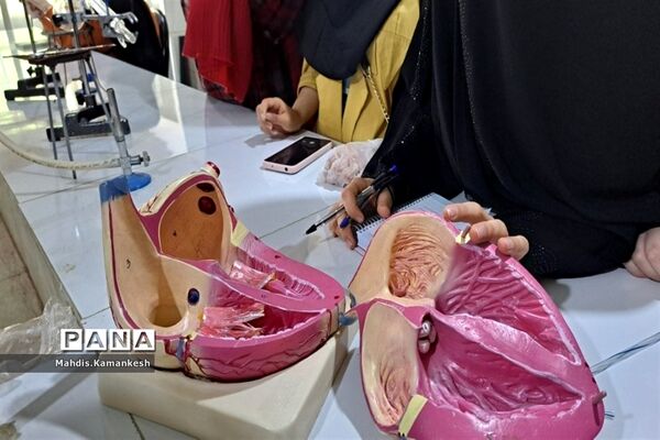 کارگاه تشریح قلب در پژوهشسرای دخترانه خوارزمی پاکدشت